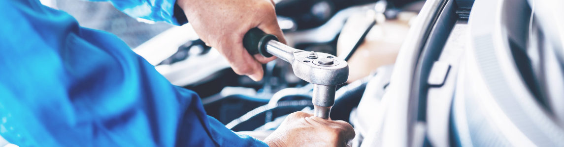 株式会社フェルディナス